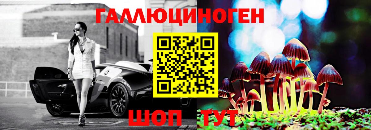 Псилоцибиновые грибы GOLDEN TEACHER  Ачхой-Мартан  закладки  Галлюциногенные грибы ЛСД 