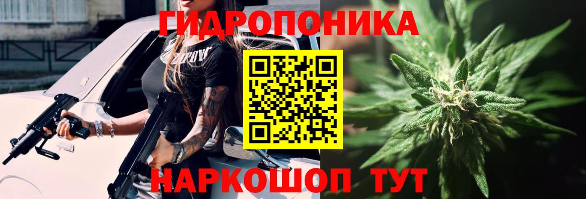 Каннабис ГИДРОПОН Ачхой-Мартан