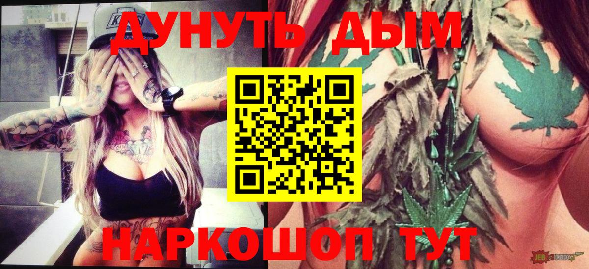 Шишки марихуана гибрид Ачхой-Мартан